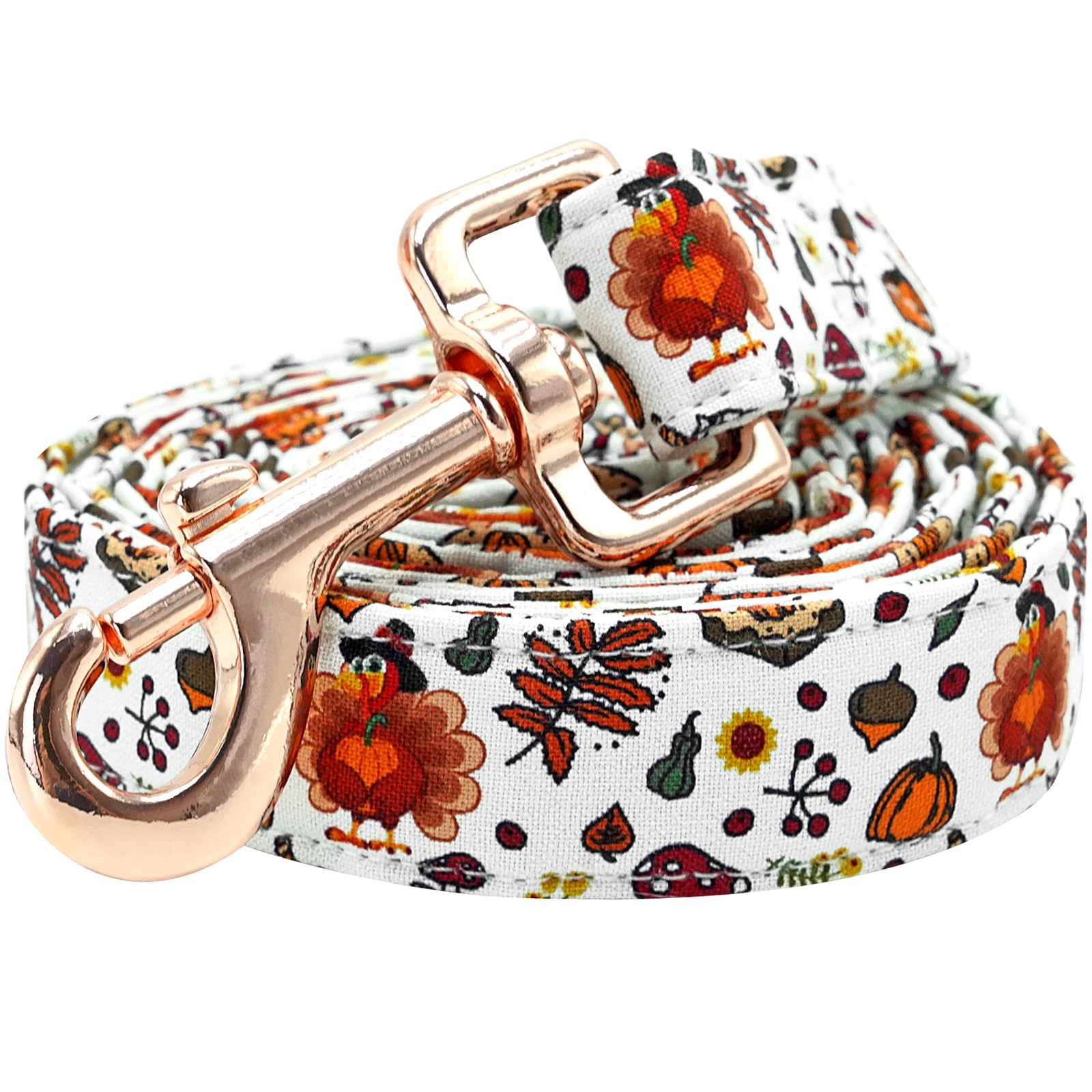Lionheart glory Strong Dog Leash Thanksgiving Turkey Durable Dog Leashes with Comfortable Soft Handle for Small Medium and Large Dogs Girl or Boy Leash