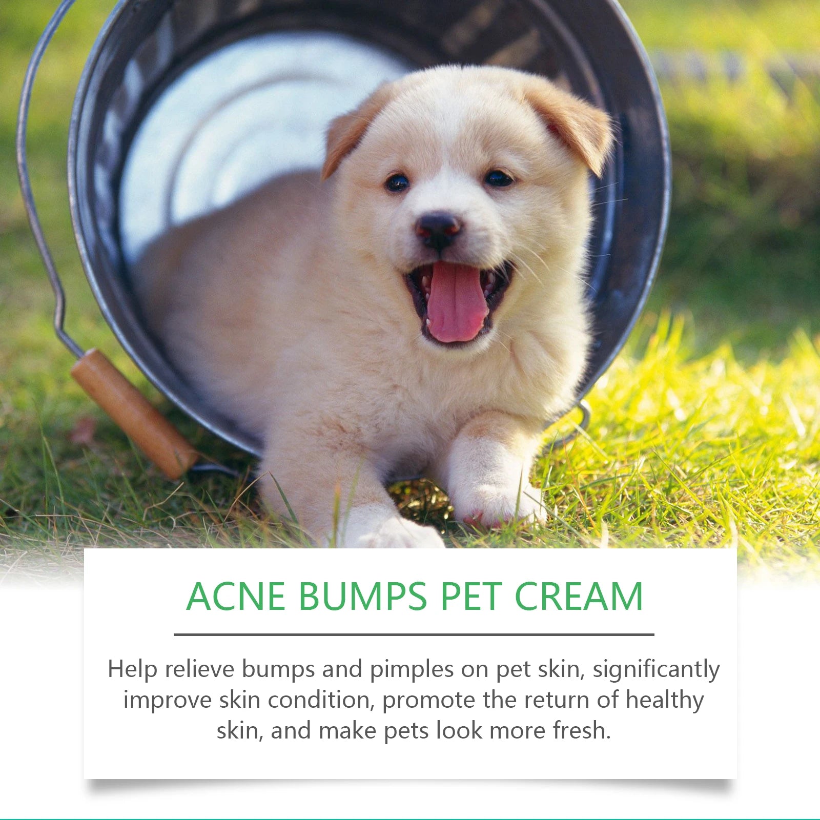 Pet Skin Care Cream Gentle Nourishing Reduce Redness and Swelling