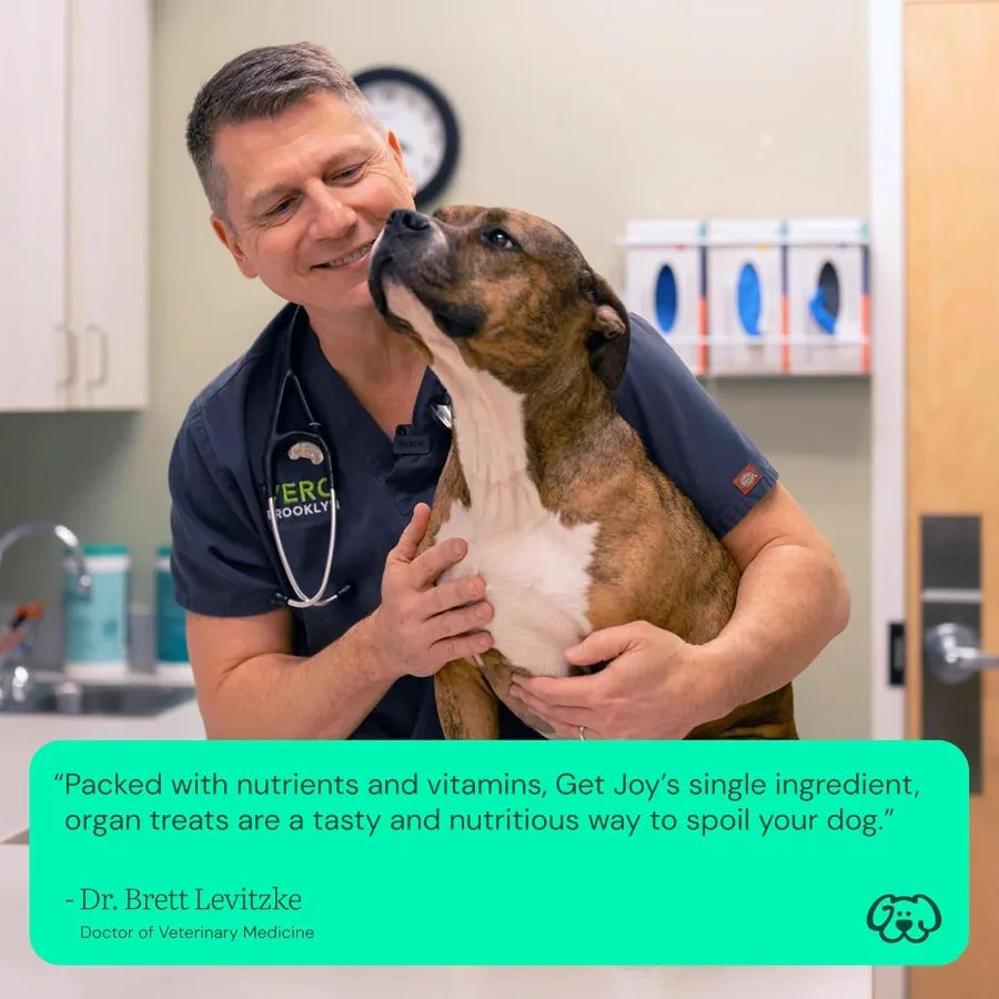 Freeze Dried Superfood 100% Beef Heart Kidney Liver Dog Treats