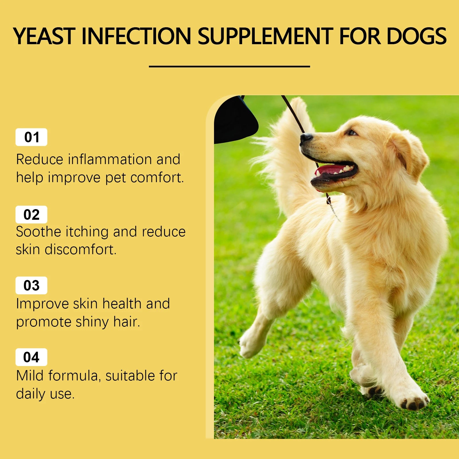 1-4PCS Herbal Pet Supplement for Skin and Coat Care Natural