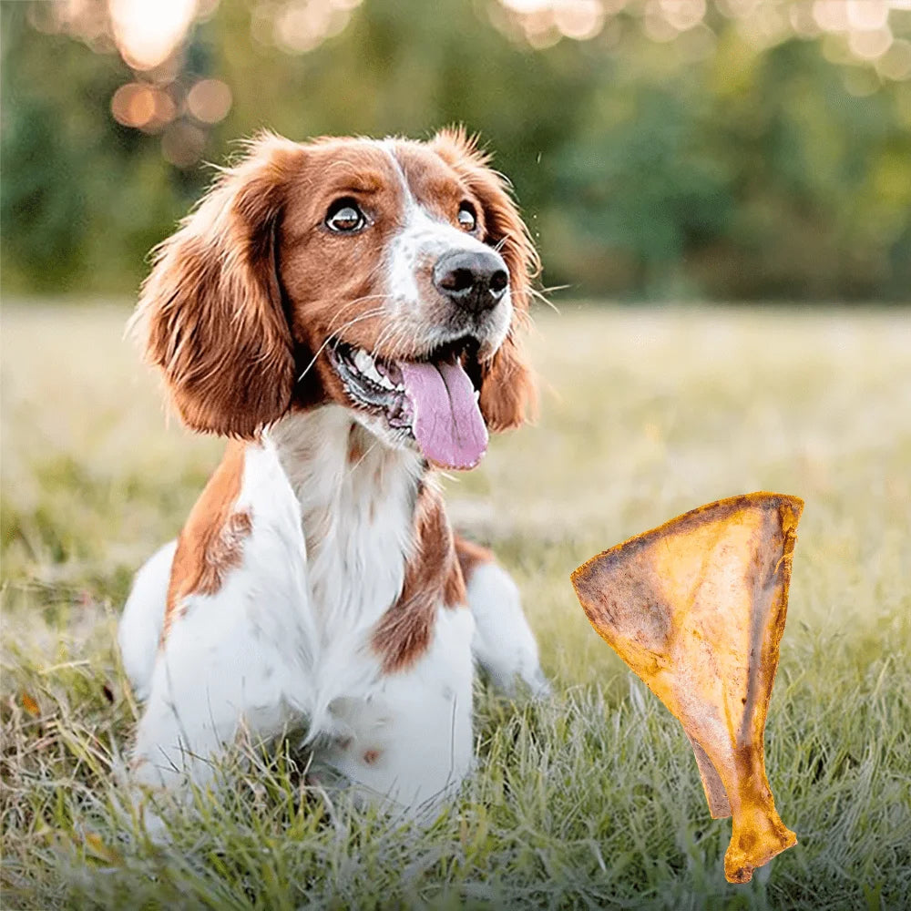 1/2 Pack x 60-90g Lamb Fan Bone, Natural Ingredients, Natural Dog Treats