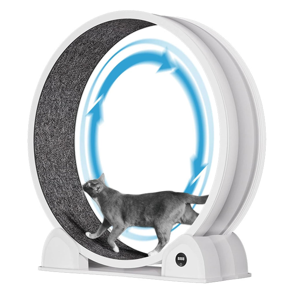 Cat Exercise Wheel for Indoor Cats,
