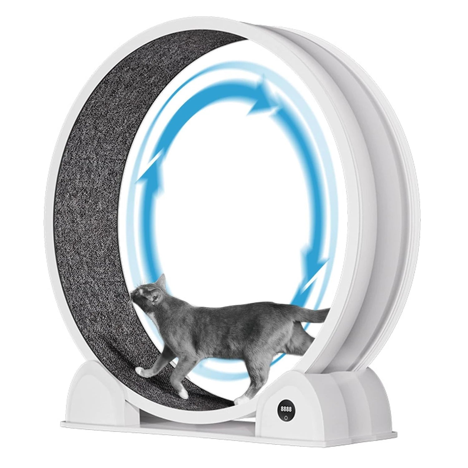 Cat Exercise Wheel for Indoor Cats,
