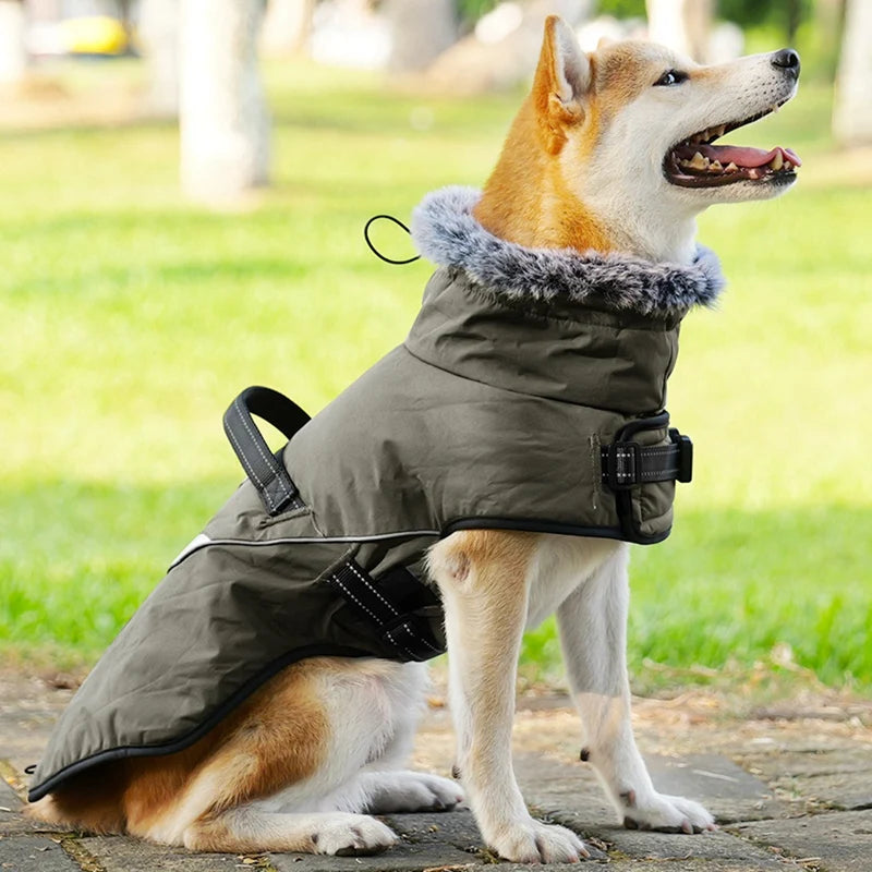Winter Dog Jacket Puppy Warm Coat With Harness for Small Large Dogs Fur Collar Clothes