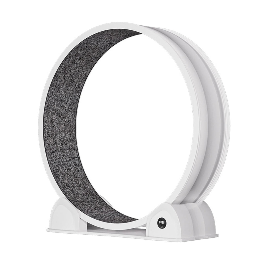 Cat Exercise Wheel for Indoor Cats,
