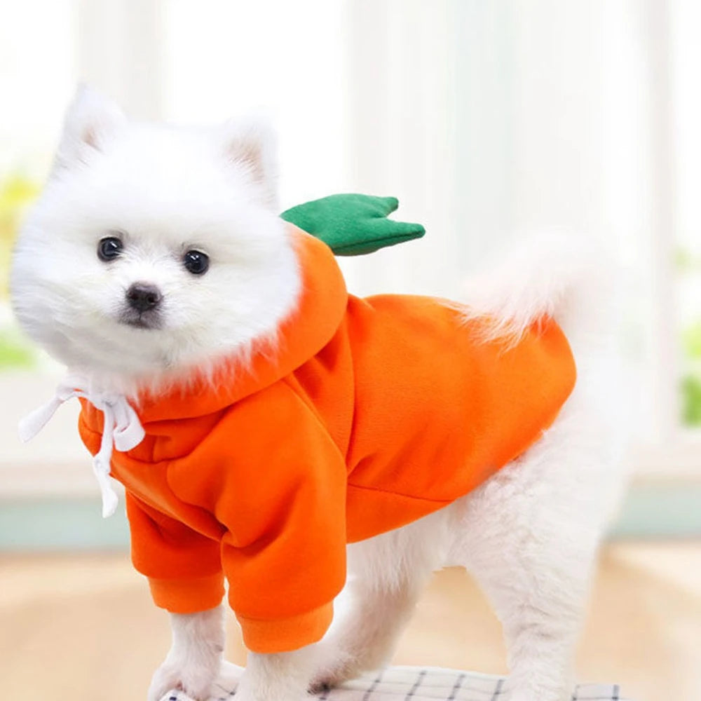 Cute Fruit Dog Clothes for Small Dogs Hoodies Warm Fleece Pet Clothing Puppy Cat