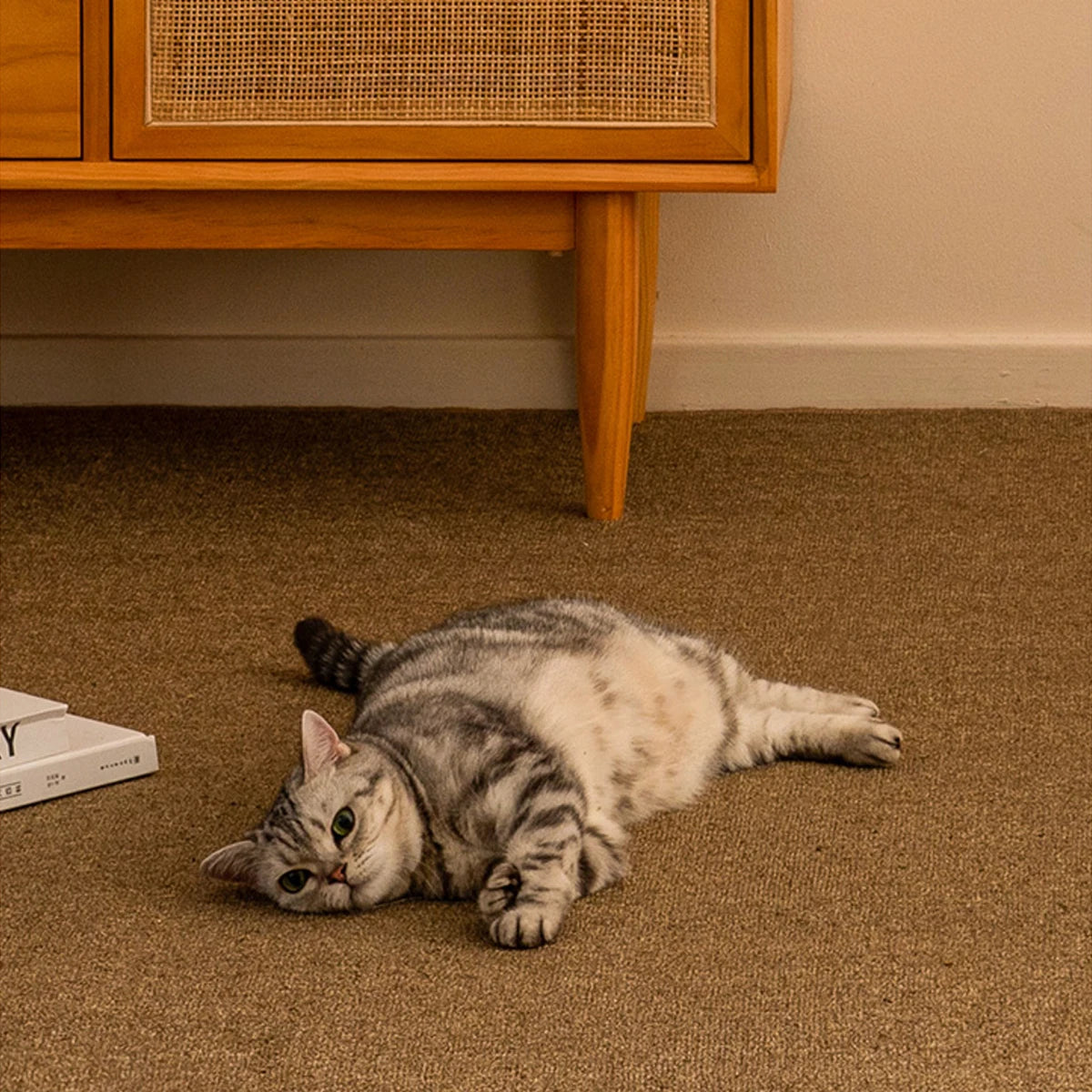 Large Cat Scratching Mat Carpet Non-Slip