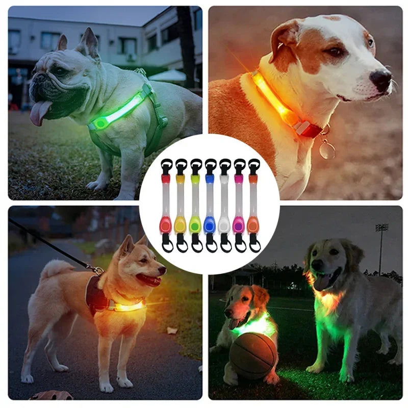 Waterproof Dog Anti-Lost Safety Glowing Collar,Multi-Color  Outdoor-Ready Flashing LED