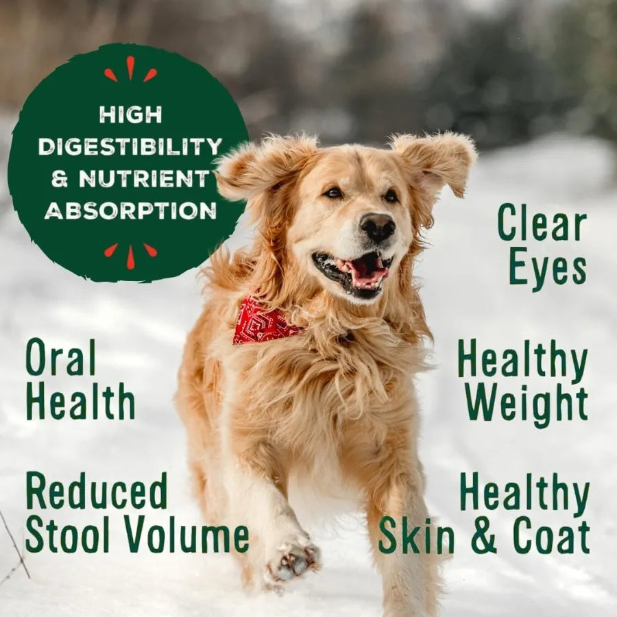 Primal Freeze Dried Dog Food Pronto Mini Nuggets Beef