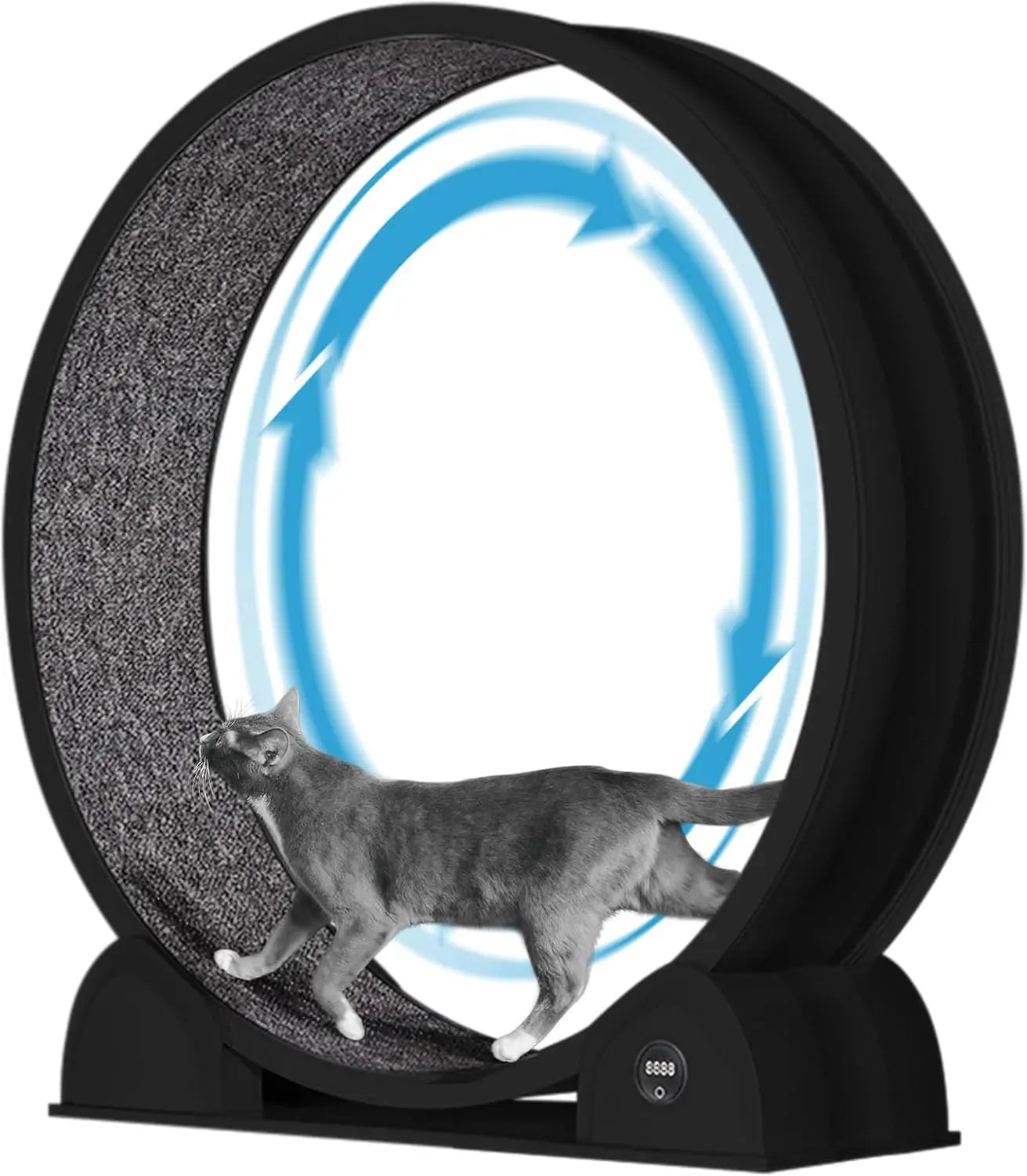 Cat Exercise Wheel for Indoor Cats,
