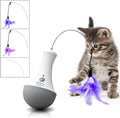 Cat Interactive Toys Funny Feather Kitten Teaser Indoor