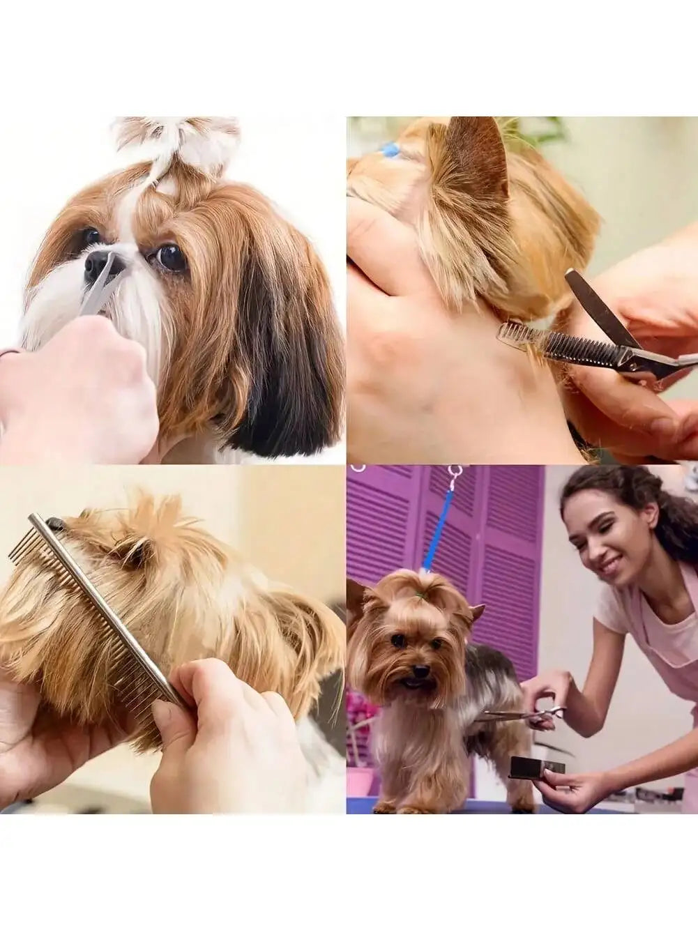 5-piece Professional Pet Beauty Scissors Set