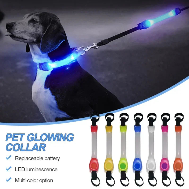 Waterproof Dog Anti-Lost Safety Glowing Collar,Multi-Color  Outdoor-Ready Flashing LED