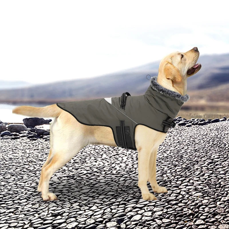 Winter Dog Jacket Puppy Warm Coat With Harness for Small Large Dogs Fur Collar Clothes