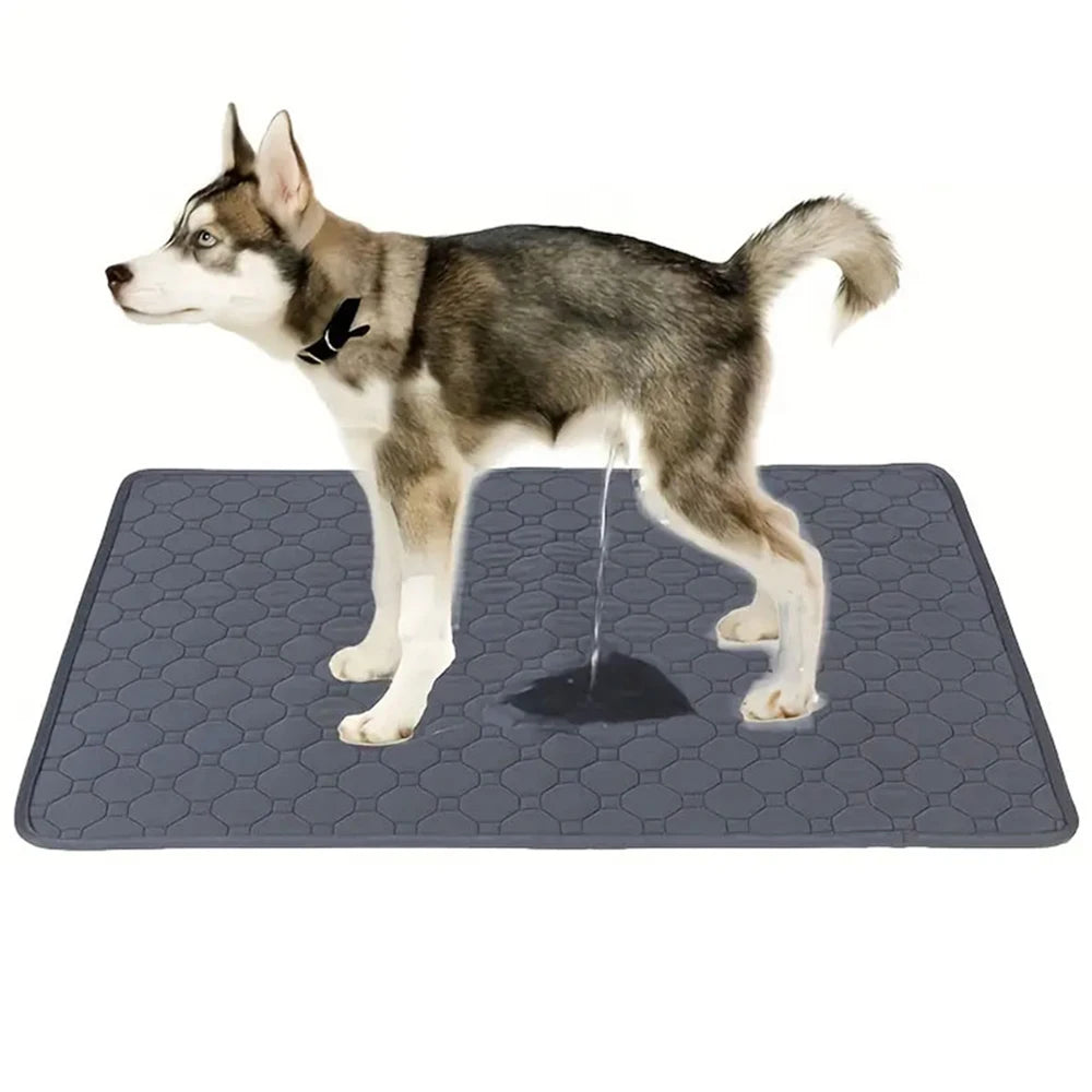 Winter Dog Pee Pad Reusable Washable Dog Urine Mat
