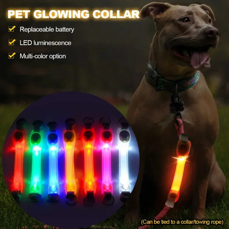 Waterproof Dog Anti-Lost Safety Glowing Collar,Multi-Color  Outdoor-Ready Flashing LED
