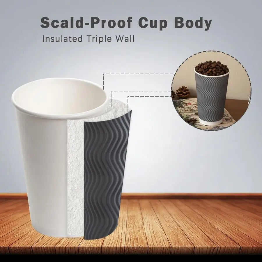 Pack 16 oz Disposable Coffee Cups No Lids