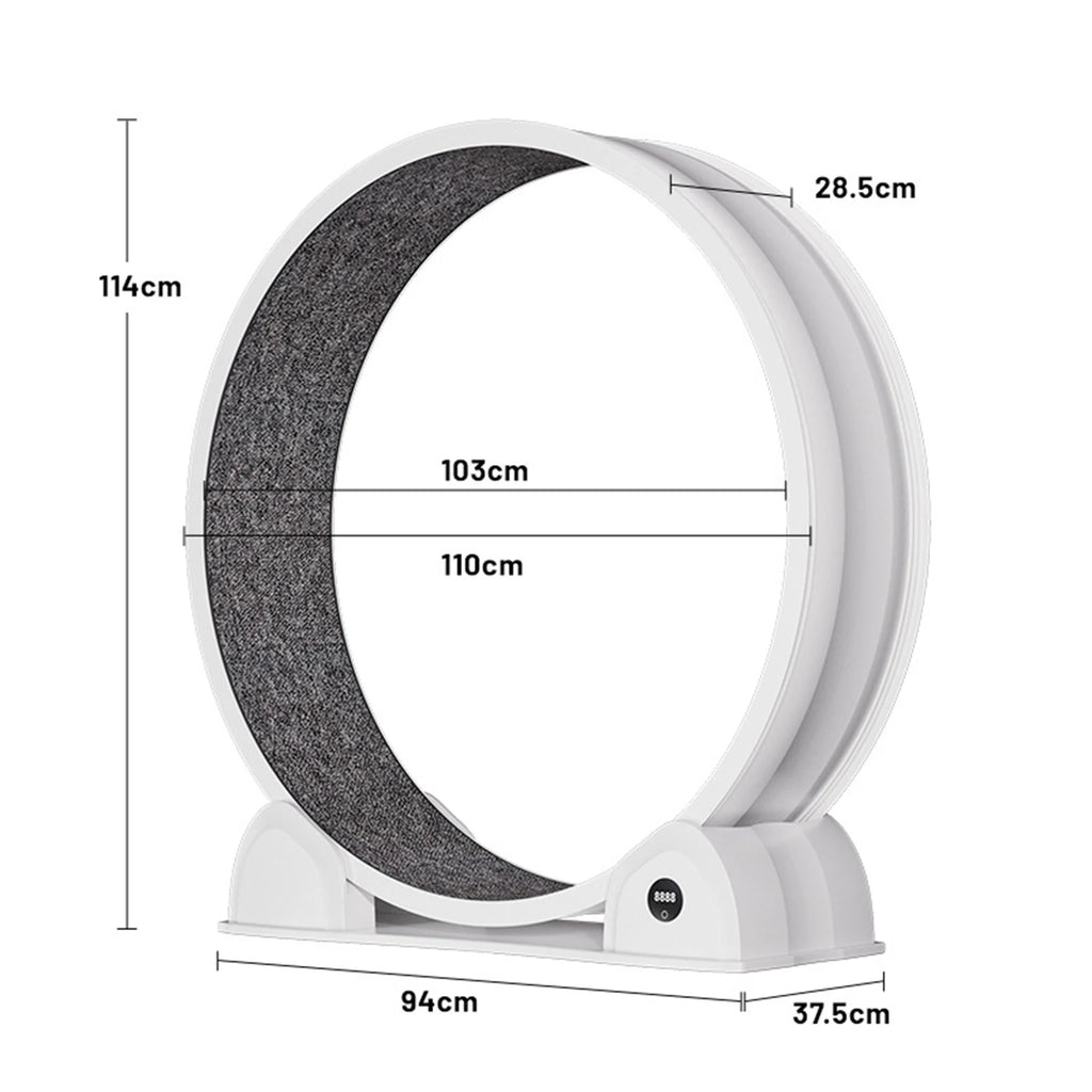Cat Exercise Wheel for Indoor Cats,
