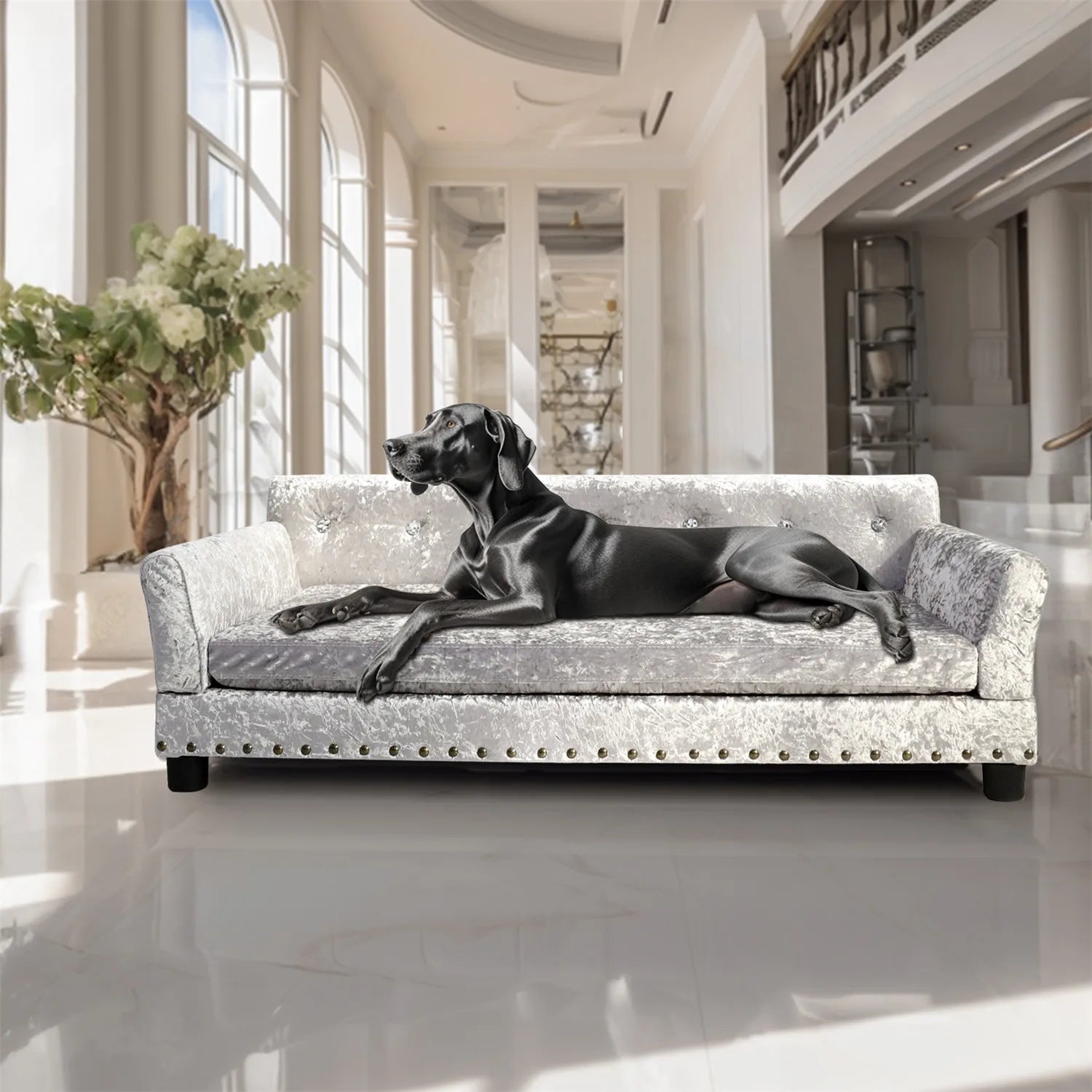 BingoPaw Large Dog Sofa Bed Deluxe Tufted Elevated Jumbo Dog Couch