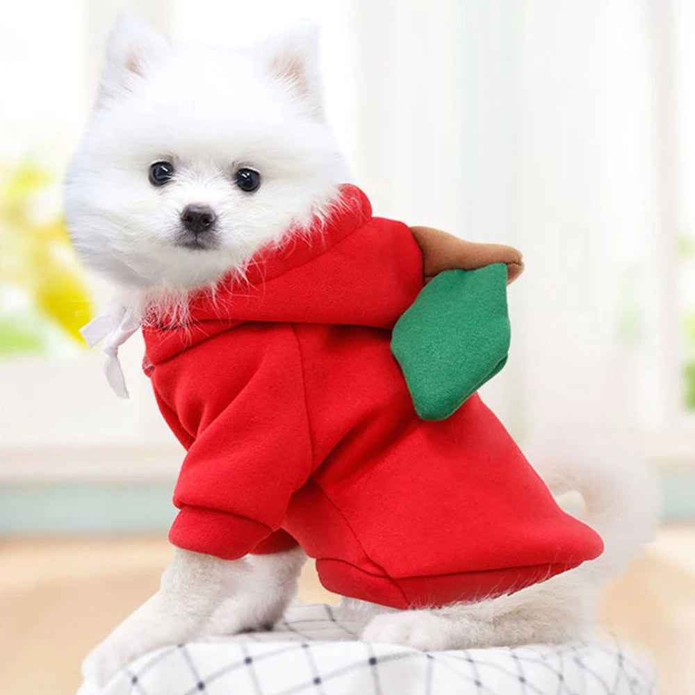 Cute Fruit Dog Clothes for Small Dogs Hoodies Warm Fleece Pet Clothing Puppy Cat